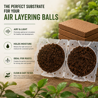 Organic Coco Coir Brick – Expandable Growing Medium for Seed Starting & Plant Propagation