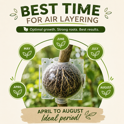 Air Layering Propagation Balls – Reusable Root Growing System for Plants & Cuttings